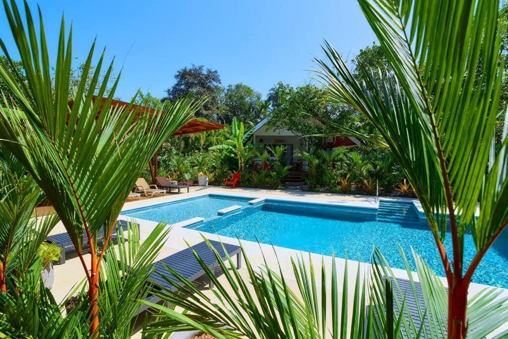 Puerto Viejo de Talamanca Casa Kristel - Exquisite Villa Getaway מראה חיצוני תמונה