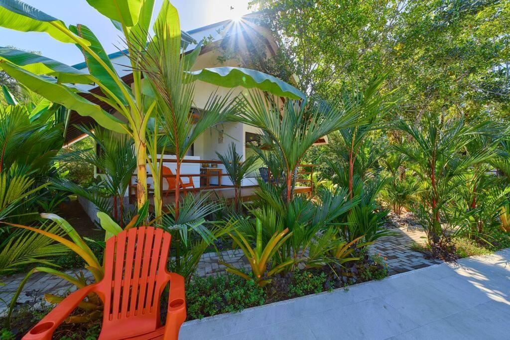 Puerto Viejo de Talamanca Casa Kristel - Exquisite Villa Getaway מראה חיצוני תמונה